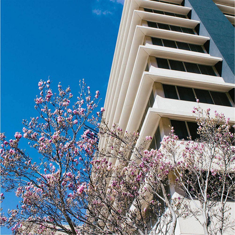 Aparthotel Abode Woden à Canberra Extérieur photo